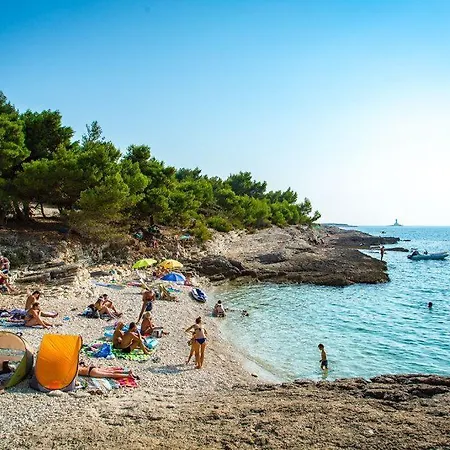 Ferienwohnung-ginkgo-a3 * Banjole