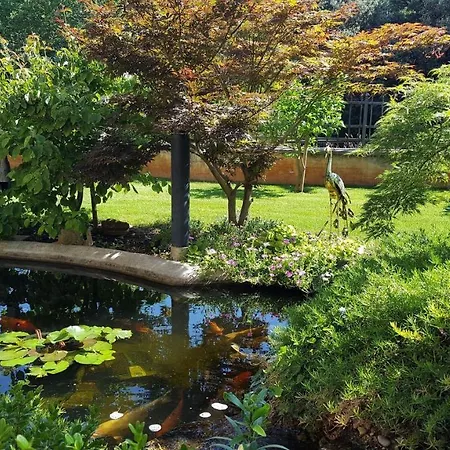 Ferienwohnung-ginkgo-a3 * Banjole