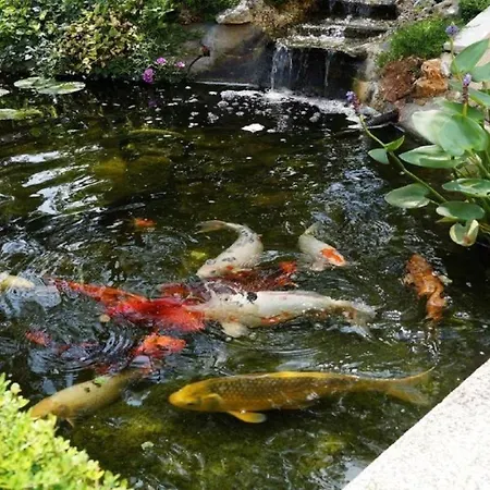 Apartamento Ferienwohnung-ginkgo-a3 Banjole