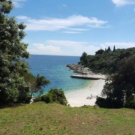 Apartamento Ferienwohnung-ginkgo-a3 *