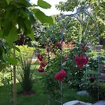 Daire Ferienwohnung-ginkgo-a3 *