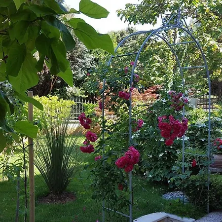 Lägenhet Ferienwohnung-ginkgo-a3 *